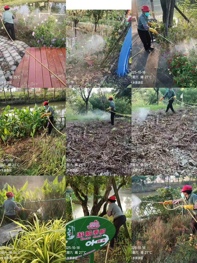 打造“无蚊景区”，古劳水乡年底前夜游免费入园