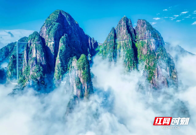 红与绿的对话 | 宜章：绿色生态之旅 身体与心灵都被治愈了