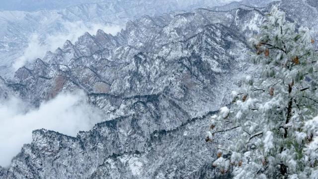 错过等一年！这个冬天，来嵩县“嗨皮”一圈！
