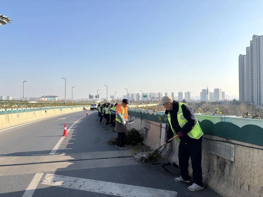 精心守护高架月季 静待春来迎花开(图3) 精心守护高架月季 静待春来迎花开(图3)