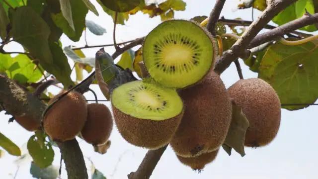 藏在鄂北的斑斓仙境,等待与你邂逅这个秋天!