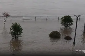 长江南京站水位超警戒1.01米！南京市启动防汛Ⅱ级应急响应图片