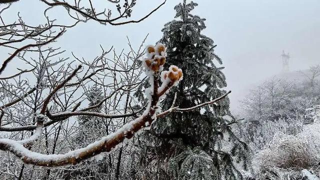 桂林全州变身冰雪童话世界，美不胜收→