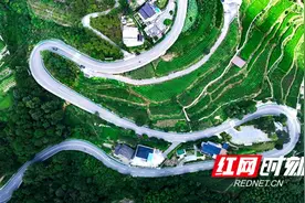 张家界市武陵源区：农村公路助春耕图片