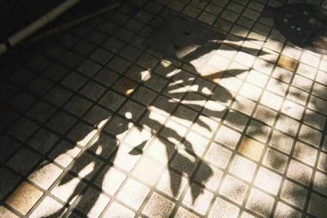 想暴言，同居是没有生活方式可言的	。