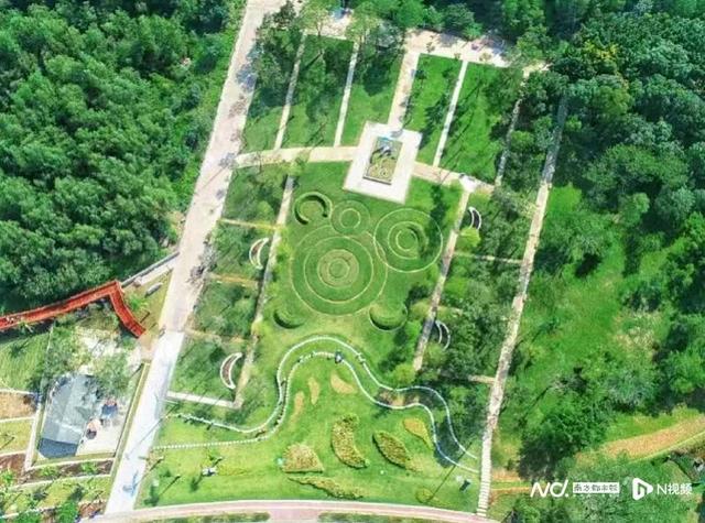“南沙旭日”获评羊城八景，20公里海岸线绘就湾区新画卷