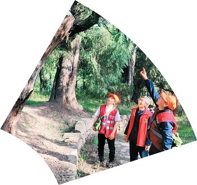 二〇二五，我与文旅中国