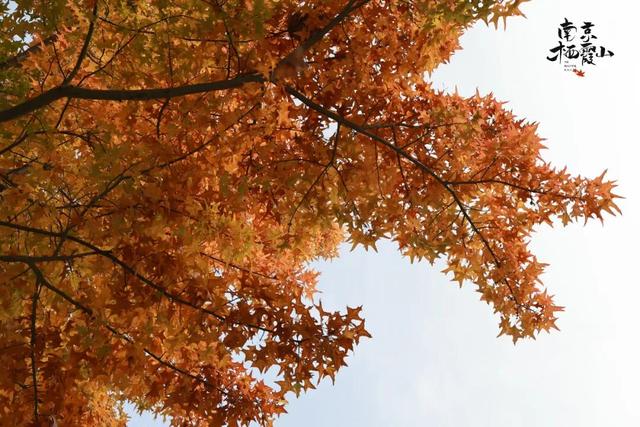 今日浓度15%！（附实用信息）