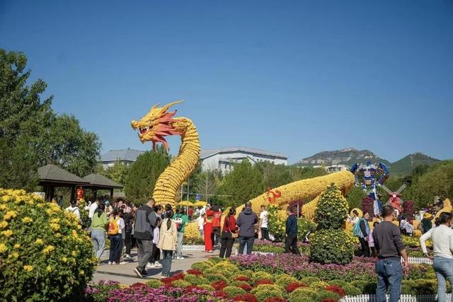 潍坊青州：多元业态点燃国庆假期消费热潮