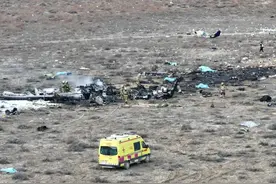 黑匣子已找到！阿航客机坠毁或因撞上飞鸟？图片