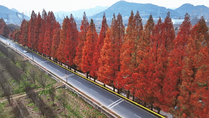 余杭初冬藏不住！这些秘境绝美~