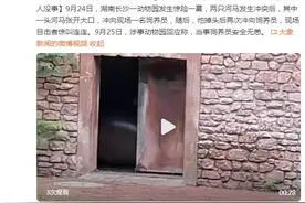 两只河马打架，饲养员劝架反被攻击 园方：人没事图片