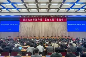 宜宾屏山县：“蓝鹰工程”创新“四个三”机制推动农村劳动力高质量就业图片