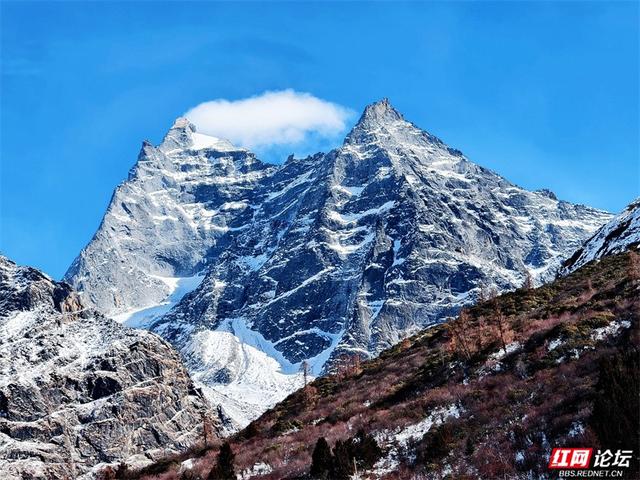 听，雪落下的声音！这里是四姑娘山的冬天