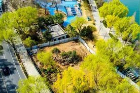 大明湖畔绿植迁移，腾出空间建设轨道交通图片