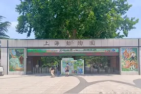 10月龄婴儿展馆内喝奶被驱赶，上海动物园称做法合规，网友吵翻→图片