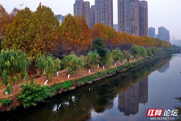 圭塘河生态公园：时光漫过木栈道，城与自然撞满怀