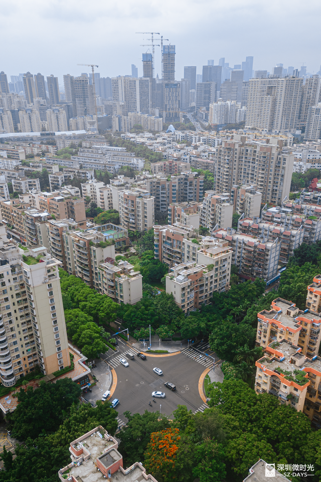 一条荔园路，多少蛇口人的前半生