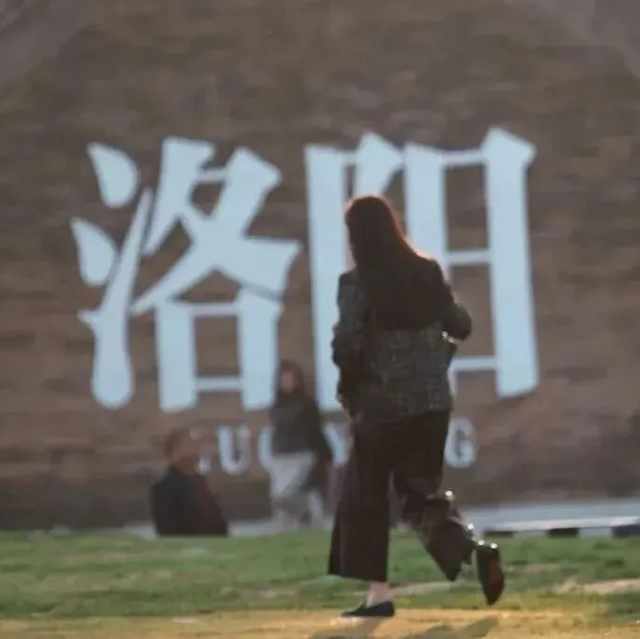 我们，如此热爱洛阳