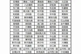 一次罚200元！东莞启用新型警用装备严抓违停→图片