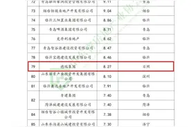 日照7家企业上榜！山东省本土开发企业网签销售排行榜公布图片