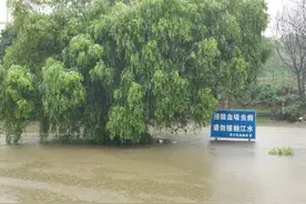 属重点防制区！镇江疾控发布最新提醒图片