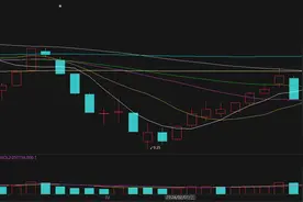 机器人、卫星导航概念上海沪工节后累涨64%，持续亏损、实控人离婚等风险犹存图片