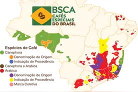 总台记者看世界｜产量占世界三成，巴西咖啡为何主导全球市场？图片