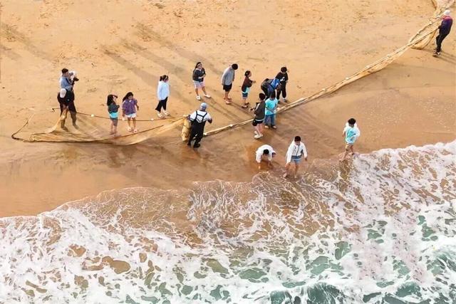 沙滩、露营、田园风光……舟山这些打卡点，出片率100%！