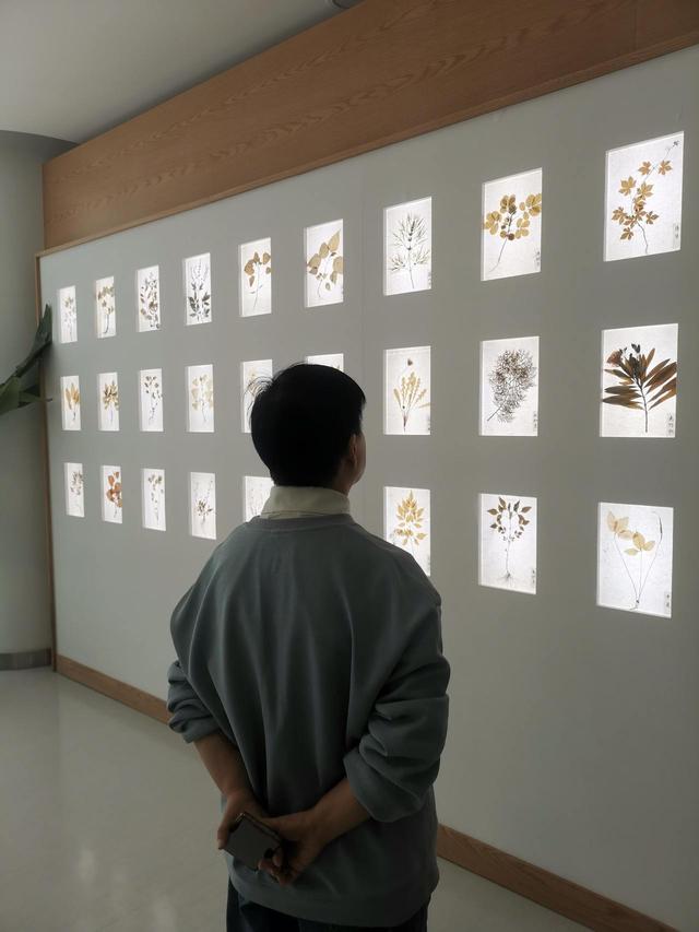 写点生活｜二丫返程夜：母爱在电话端那头守候