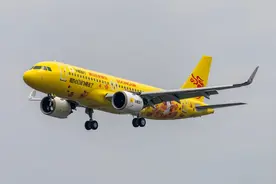 首航！飞猪联合浙江长龙航空打造“飞猪号”彩绘飞机图片