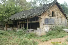 一所乡村小学的“体育逆袭”图片