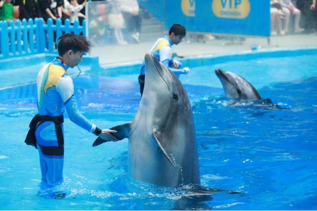 成都极地海洋公园：打造属地主题的生活新聚点