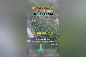 货车司机高速狂奔7小时,被交警拦下强制休息，“拉的榴莲快熟了”图片