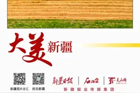 石榴图汇·大美新疆丨麦浪滚滚穗飘香图片