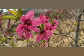 读城记-潍坊|初游沂山图片