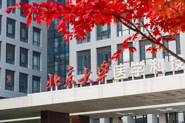 藏不住了！攒了整个秋天的北医美景，立冬前全部分享！