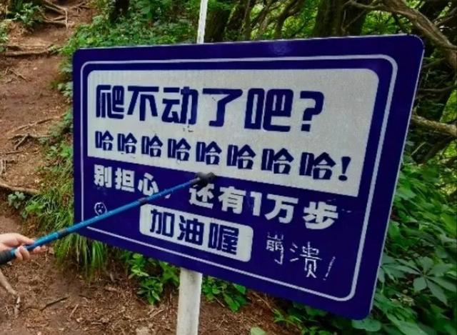 景区“损人式加油”爆火！专治各种爬不动？