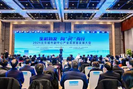 生机勃发，向“新”而行 2025北京城市副中心产业高质量发展在京举办图片