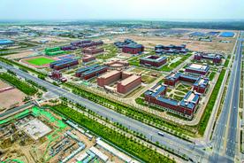 沙患变沙利,黄沙变黄金——新疆塔克拉玛干沙漠边缘阻击战见闻图片