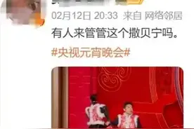 撒贝宁和机器人一出场 梦回白云黑土 网友：有人来管管这个撒贝宁吗？图片