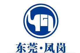 广东省青少年象棋锦标赛8月22日在凤岗开锣图片