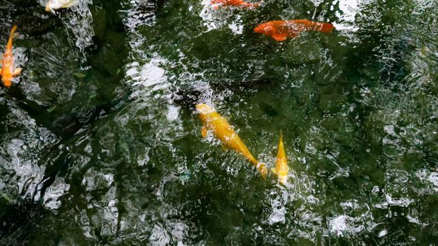 在济南邂逅一个“北方江南”