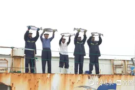 耕海牧渔向蔚蓝，日照全力打造我国最大的三文鱼养殖集聚区图片