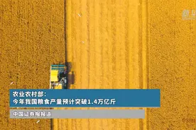 农业农村部：今年我国粮食产量预计突破1.4万亿斤图片