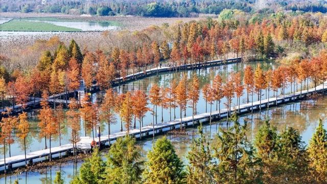 荆州的秋，才是隐藏BOSS！🥰🥰🥰