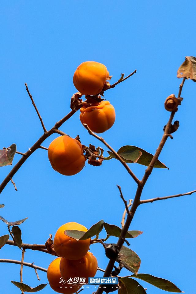 节气里的大美烟台｜立冬篇