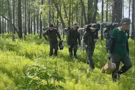 野生动物保护 | 黑龙江南瓮河保护区：东方白鹳新巢穴现身湿地 保护区生态保护再添佳绩图片