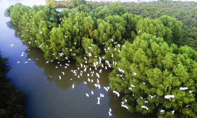 图集｜去中国大陆最南端，探寻“鲜美”湛江的“吃和远方”