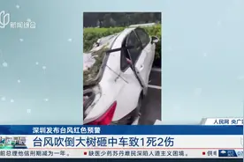 深圳发布台风红色预警 台风吹倒大树砸中车致1死2伤视频封面